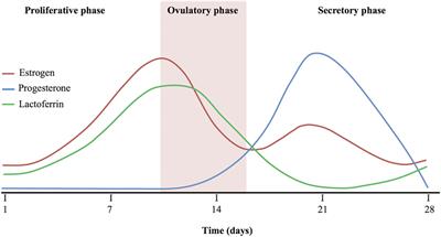 Role of Lactobacilli and Lactoferrin in the Mucosal Cervicovaginal Defense